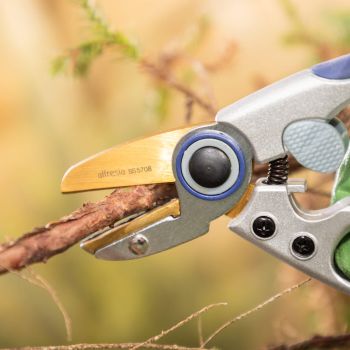 Anvil Pruner Secateurs